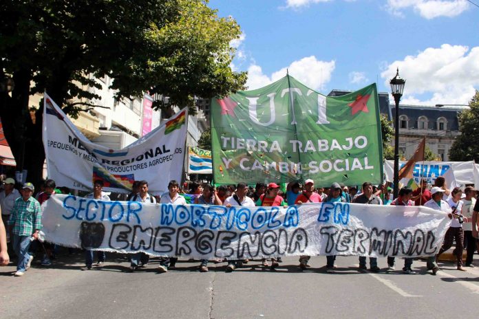 hortícola